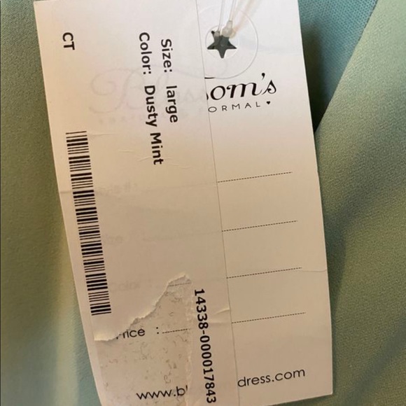 Bicici and Coty Gown - Picture 4 of 12